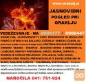Pogled v prihodnost