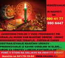 JASNOVIDNI POGLED-MAGIČNI UROKI-OBREDI NAROČILA 041751924
