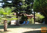 Novigrad - apartma - počitniška hiša