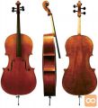 Violončelo Maestro I