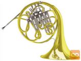Francoski Rog Double F/bb-Bb/f 12D Connstellation