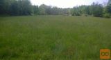 Miren Kostanjevica Lokvica Zazidljiva 6190 m2
