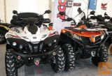 Access Motor 650 EFI 4x4