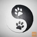 Pets jing jang