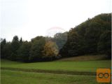KMETIJSKO ZEMLJIŠČE IN GOZD NAPRODAJ (KOČICE)