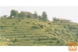 Ptuj Podlehnik ostalo
