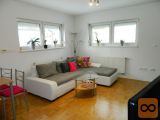 Vič-Rudnik Dolgi most 1-sobno 39,5 m2