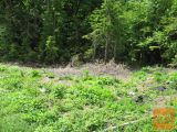 Moravče Hrastnik Zazidljiva 490 m2