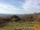 Šmarje pri Jelšah Pečica Pečica 35 18000 m2