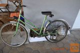 ŽENSKO KOLO ROG SPORT LJUBLJANA rener zelen