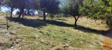 Črnomelj Zazidljiva 1730 m2