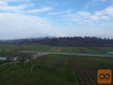 Pivka Parje Samostojna 195,5 m2