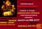VEDEŽEVANJE SVETOVANJE PRI ORAKLJU 0904177