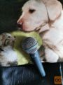 Mikrofon Shure Beta 58A