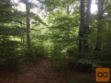 Skrad Skrad 700 m2