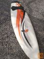 surf deska dolžina 2,65m ugodno