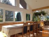 Trebnje Mirna Samostojna 250,20 m2