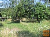 Moravče Prikrnica 4000 m2